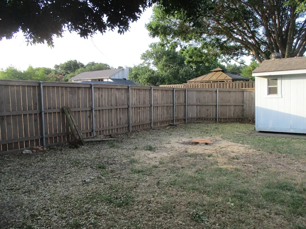 Cleared yard after professional tree removal in Nikiski